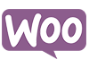 Website Development 3 woo icon shop