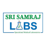 Website Development 10 sri samraj labs 1