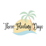 Website Development 12 these fleeting days 1