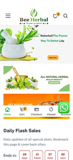 Website Development 5 bee herbal 1